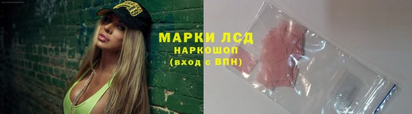 apvp Инта