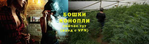 гидропоника Вяземский