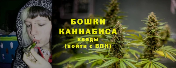 тгк Вязьма