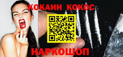 крисы Пенза
