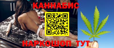 крисы Пенза