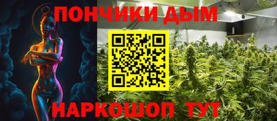 крисы Пенза
